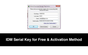 download idm serial key