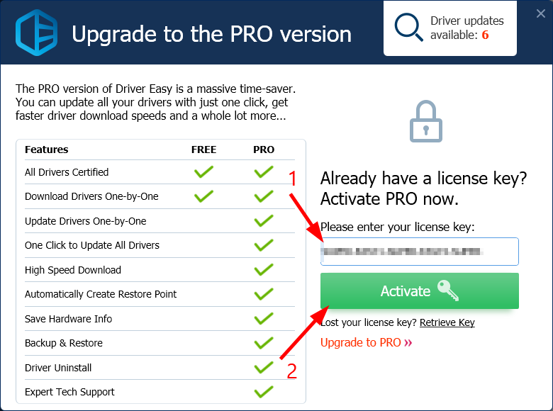 driverfix license key free 2021