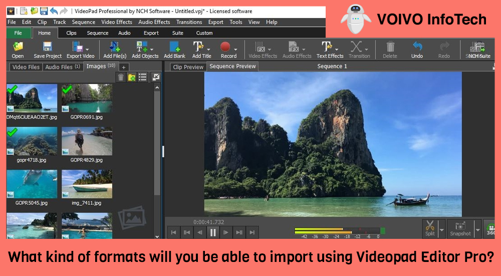 What kind of formats will you be able to import using Videopad Editor Pro?