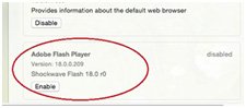 enable Flash Player