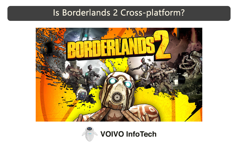 Is Borderlands 2 Cross-platform?