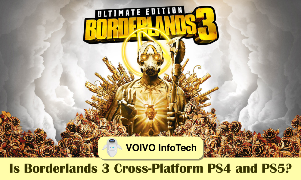 Is Borderlands 3 Cross-Platform PS4 and PS5?