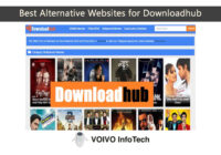 Best Alternative Websites for Downloadhub