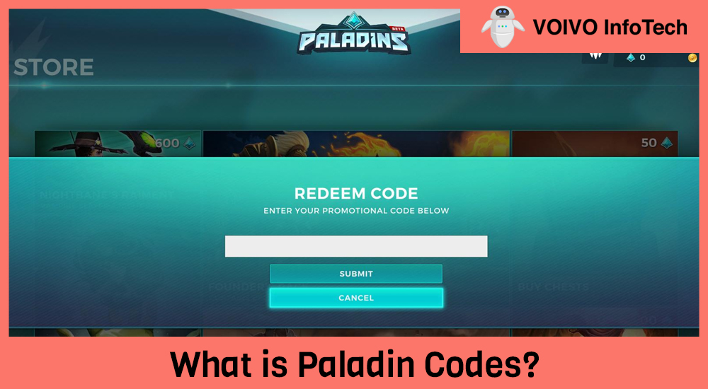What is Paladin Codes?