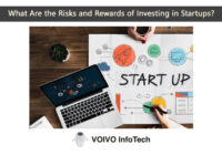 What Are the Risks and Rewards of Investing in Startups?