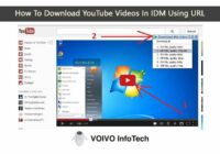 How To Download YouTube Videos In IDM Using URL